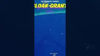 Me and my friends tried this broken glitch #fortnite #fortniteclips #twitchclips