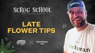 S3/Ep14-  Late Flower Tips - SCROG SCHOOL