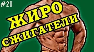 Жиросжигатели. Обзор,виды.