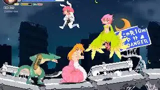 Chaos Run Usaco EWDX