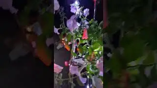 17 июля 2023 г.