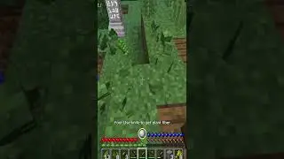 RLCraft How To Get WOOD! 