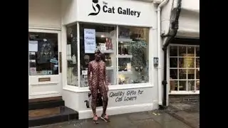 Morphsuit Marathon - Running the York Cat Trail Every Day in Lockdown wearing a Big Cat Morphsuit!