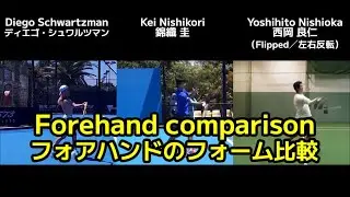 Forehand comparison - Top tennis players(Diego Schwartzman,Kei Nishikori,Yoshihito Nishioka)