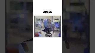 Sifra robot vs AMECA robot     
