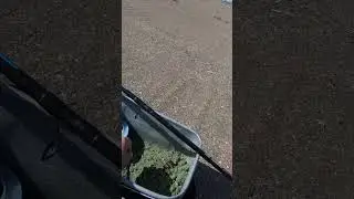 Зарядил кормушку на леща !!