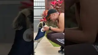 O max está feliz novamente!!