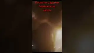 6 июля 2024 г.