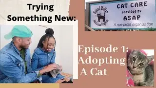 Trying Something New: Episode 1: Adopting A Cat