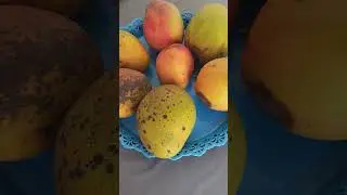 mangas deliciosas