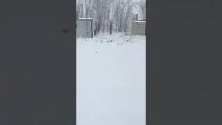 Первый снег в Свердловская область