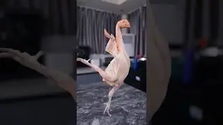 😂🤣😂 шедеврально 