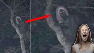 Top 5 Real Ghost Caught on Camera | Creepy1011