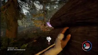 The forest, Ep.1 | NO COMMENTARY