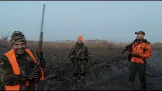 20 выход - дичи много добычи нет