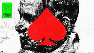 The Mystery of the Playing Card Plane Crash
