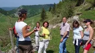 Empresa de excursiones, paseos, visitas guiadas