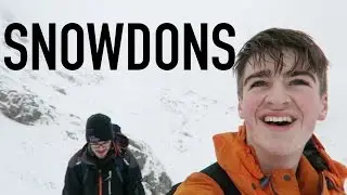 Snowdons