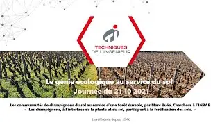 Les communautés de champignons du sol au service d'une forêt durable
