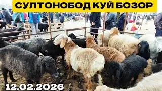 Куй бозор водийда Энг арзон БОЗОР 💥 ☎️бор 2026