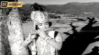 சின்ன கண்ணன் அழைக்கிறான் பாடல் | Chinna Kannan Azhaikkiraan song | M. Balamuralikrishna | Kavikkuyil