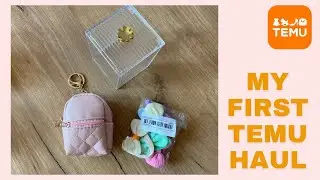 MY FIRST TEMU HAUL 📦