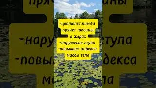 Признаки застоя лимфы #shorts_ #shortsyoutube #shortsvideo #застойлимфы