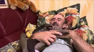 Люся-царевна Забава из м/ф 