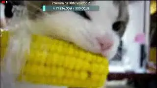 Kriss - Stream - PACZKA od widza pełna PROCESORÓW  - Sortowanko gractwa - czy trafi się RYZEN ?