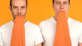 FWD108 - Plaid (2018)