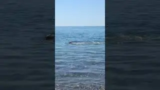 Многие говорят, да что там это море?