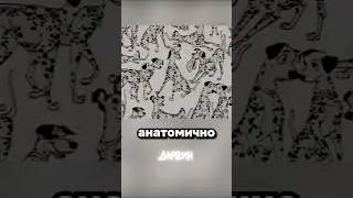 Poor animators