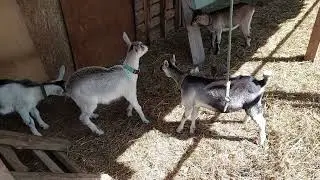 Север 1