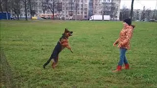 Пан почти 7 месяцев