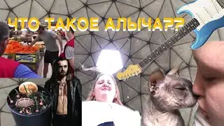 моя музыкантская жизнь