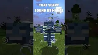 How to beat the WITHER in Minecraft… 