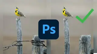 Deleting Objects with Photoshop