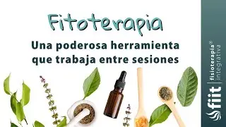 Plantas Medicinales: Tu Aliada para Resultados Reales