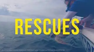 SeaWorld - 38,000 Rescues