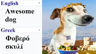 Awesome dog in different languages meme