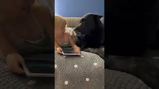 Янчик и волкособ Гул’данчик 🥰 