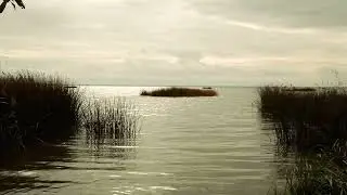 Evening on the Gulf of Finland. Sounds for relaxation and sleep. ASMR