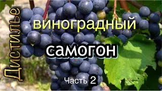 Самогон из винограда. Дробная перегонка на Люкссталь 8М