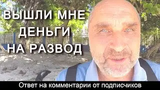Вышли мне деньги на развод