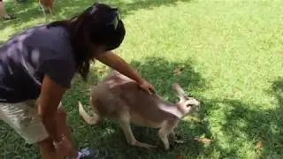 Australia Trip