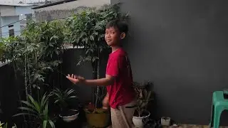 Nyangkut Gak Nih Superman Nurunin Layangan