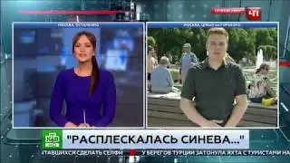 Расплескалась 