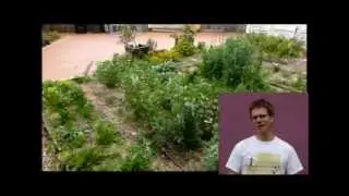 Spin Farming Overview - Grow food for profit