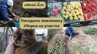 Посадила 300 семян земляники // Прополка огорода в феврале // Нюркина жизнь влог