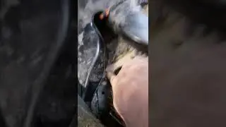 Замена опорной подушки рычага кпп лада калина